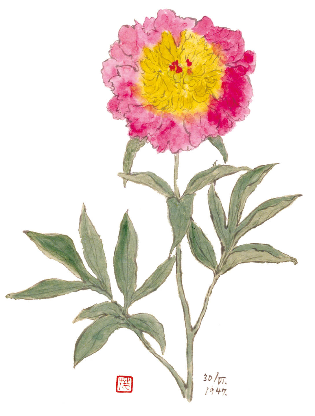 芍薬図(昭和22年)※部分