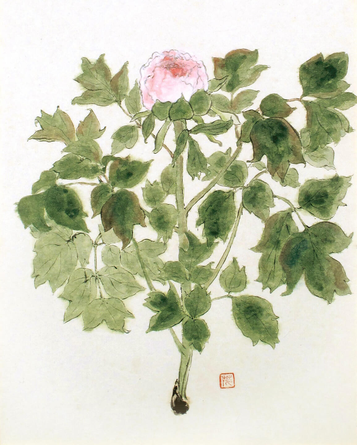 牡丹図(昭和22年)※部分