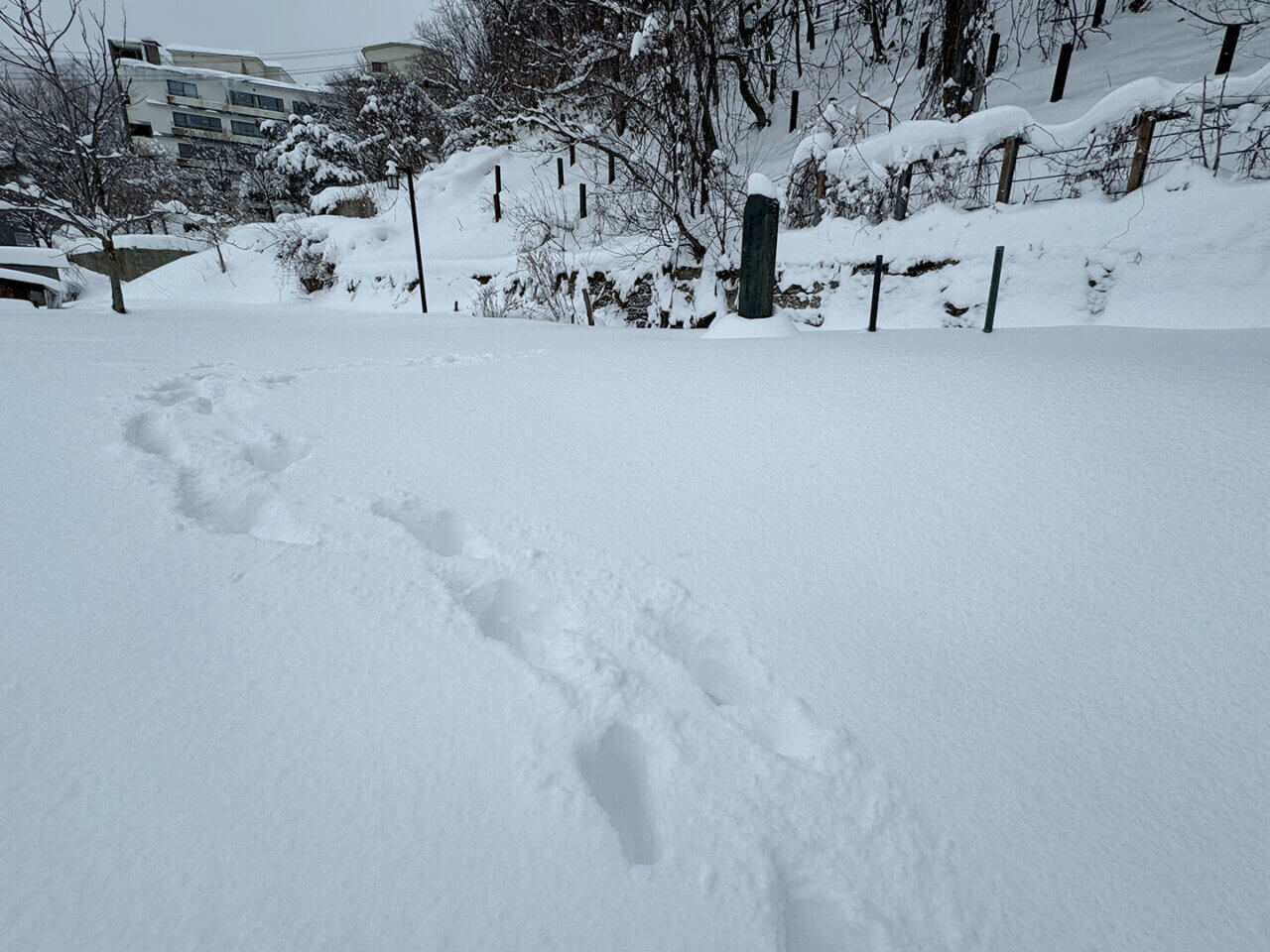 蔵王みはらし公園歌碑「蔵王をのぼりてゆけば」
